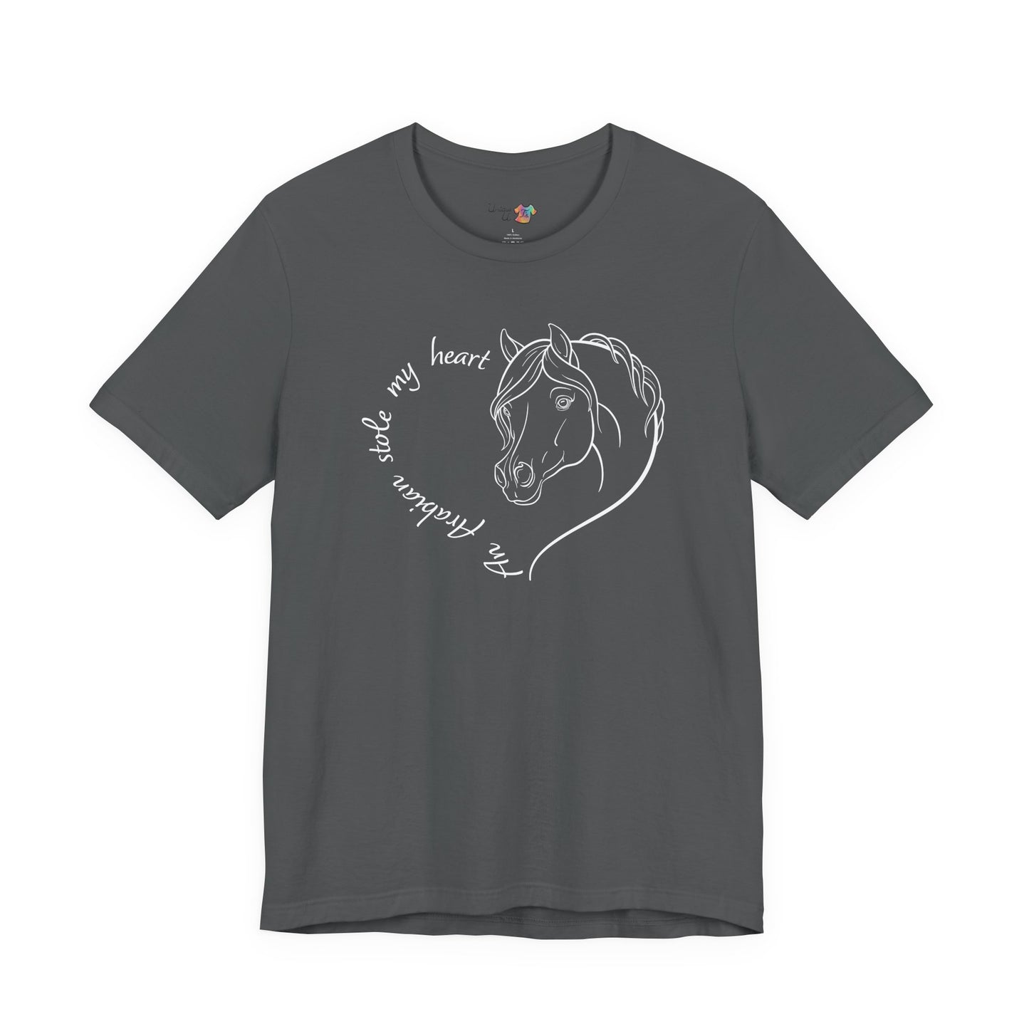 An Arabian Stole My Heart T-Shirt | Cute Arabian Horse Lover Gift, Equestrian Tee