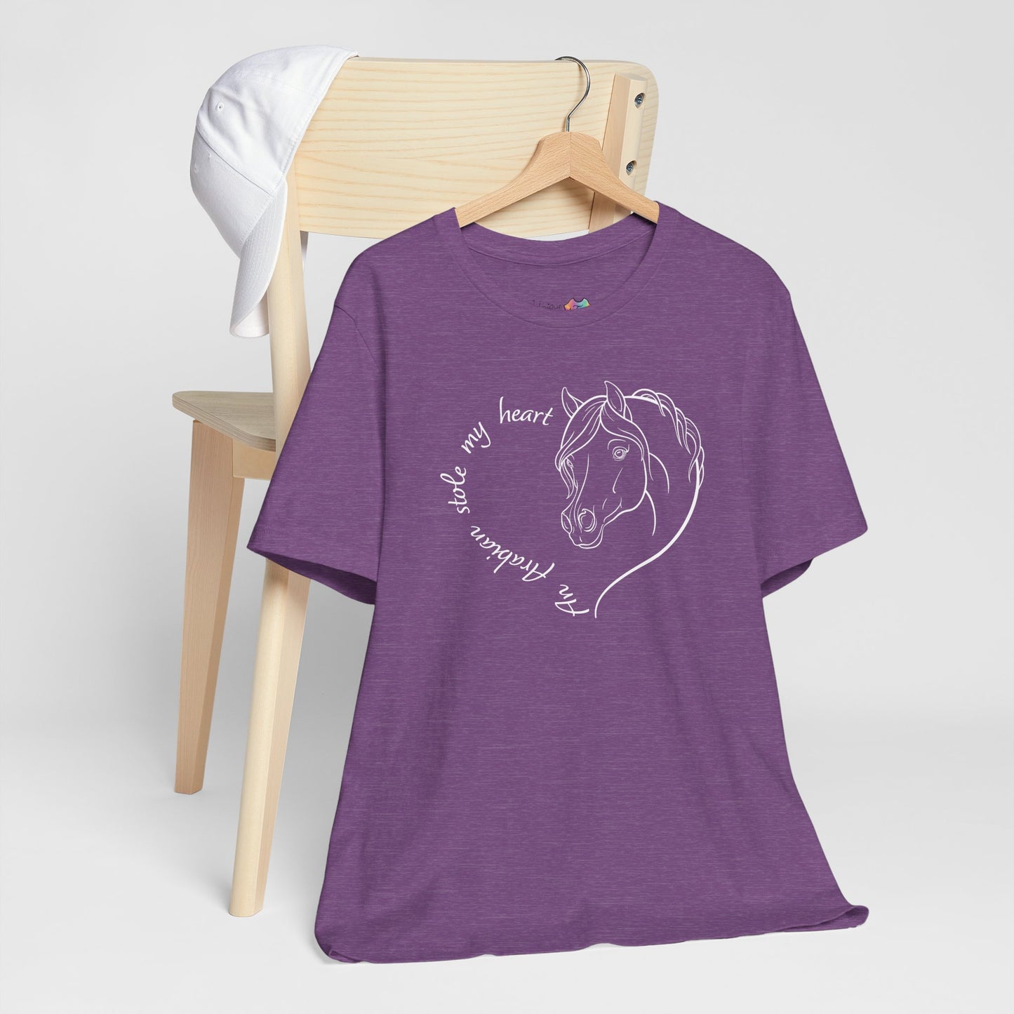 An Arabian Stole My Heart T-Shirt | Cute Arabian Horse Lover Gift, Equestrian Tee