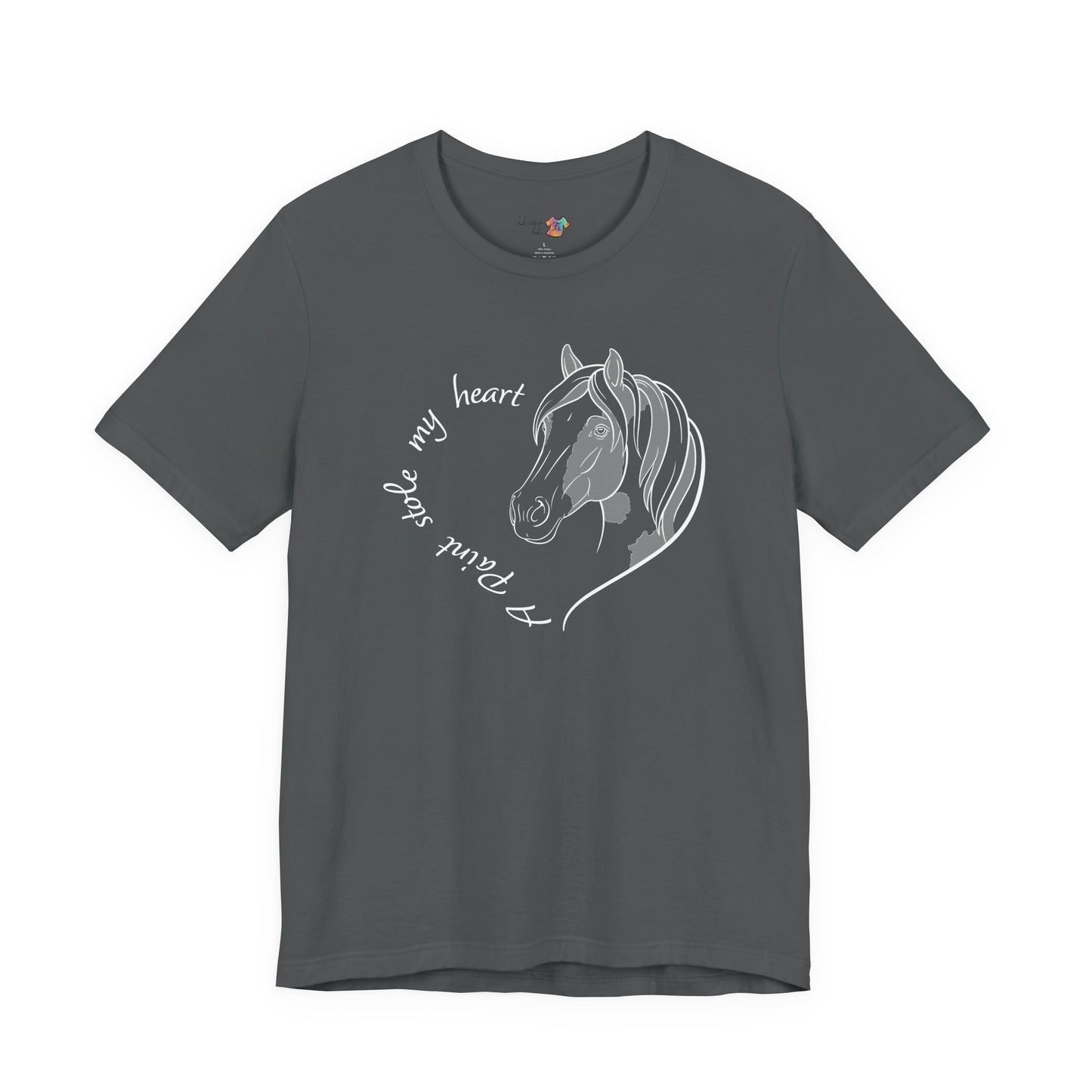 A Paint Stole My Heart T-Shirt | Cute Paint Horse Lover Gift, Equestrian Tee