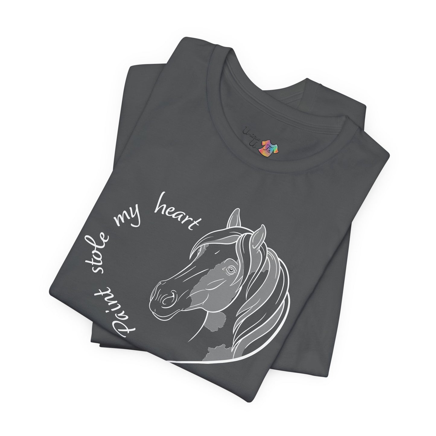 A Paint Stole My Heart T-Shirt | Cute Paint Horse Lover Gift, Equestrian Tee