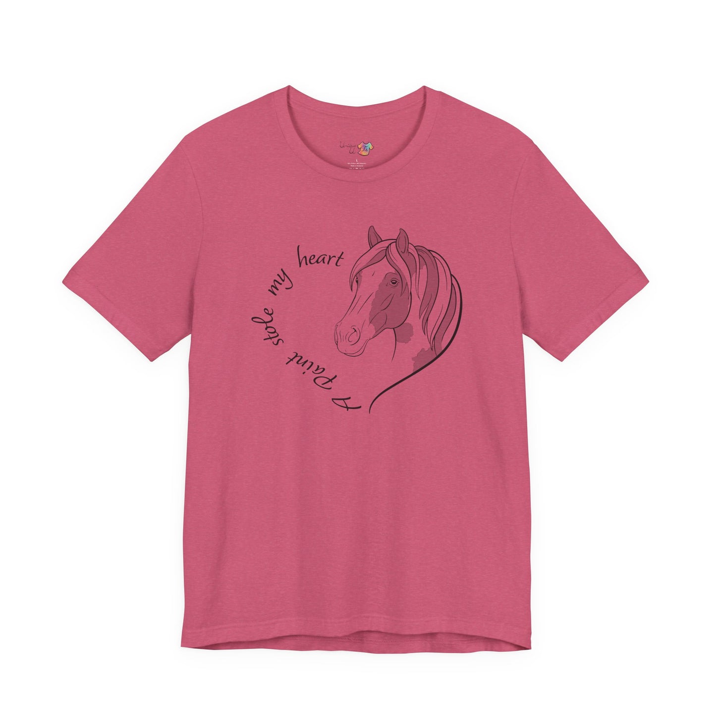 A Paint Stole My Heart T-Shirt | Cute Paint Horse Lover Gift, Equestrian Tee