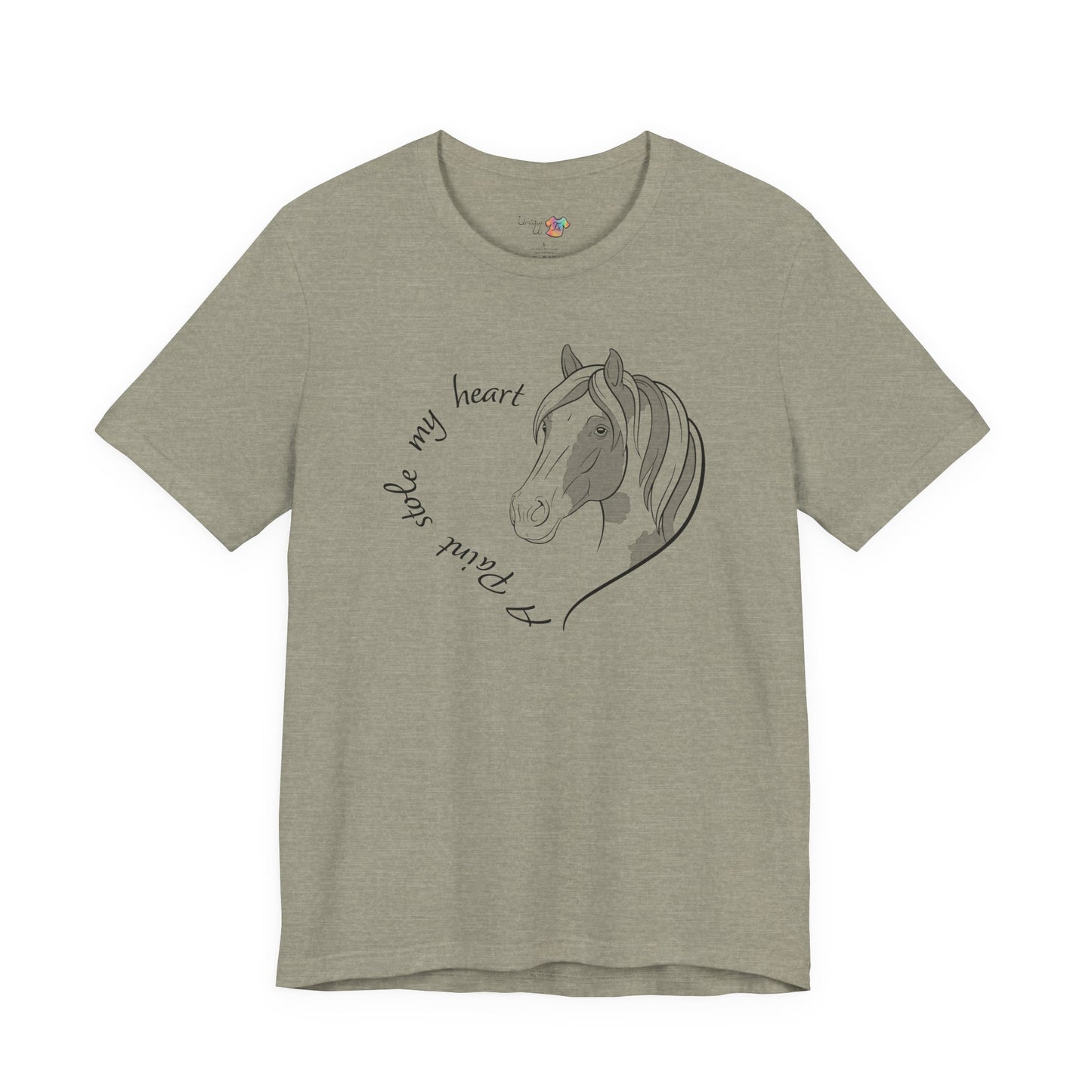 A Paint Stole My Heart T-Shirt | Cute Paint Horse Lover Gift, Equestrian Tee